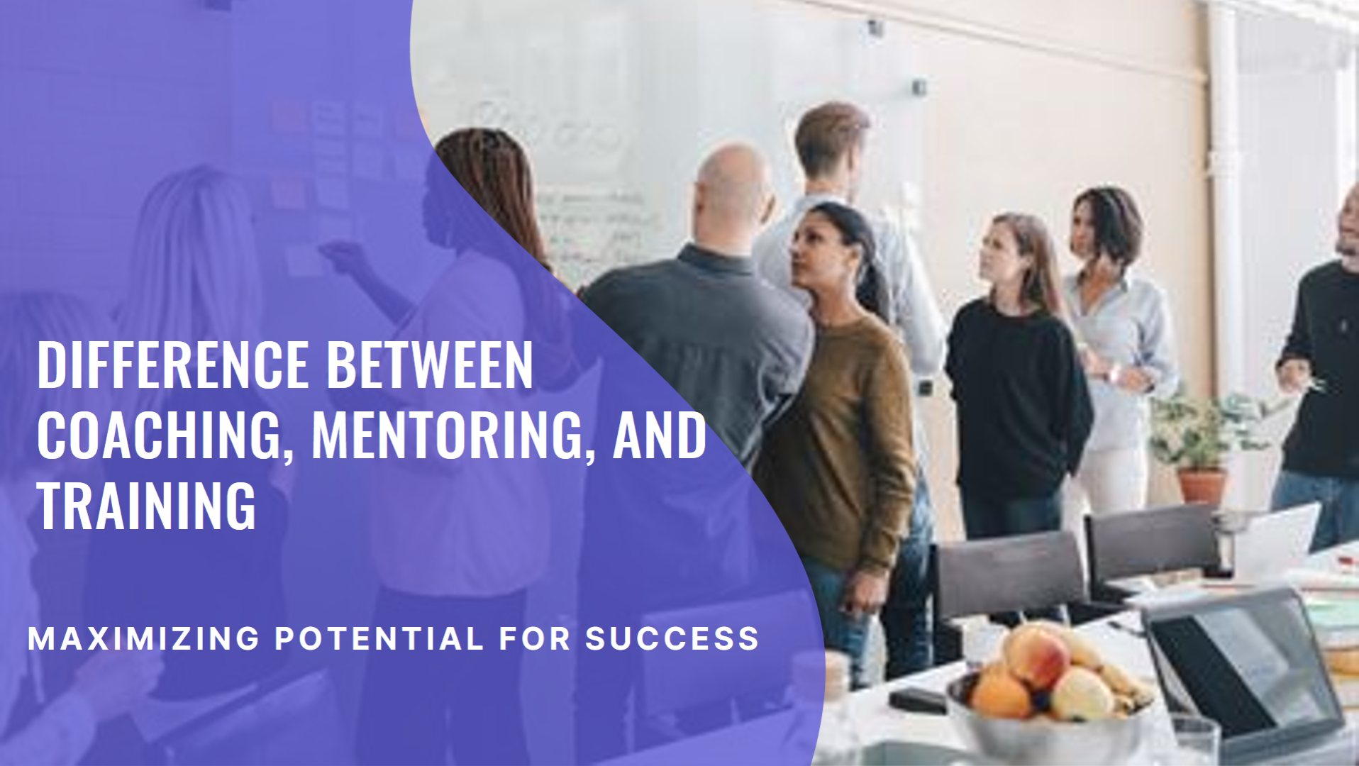 Understanding the different aspects of coaching, mentoring, and training in corporate excellence